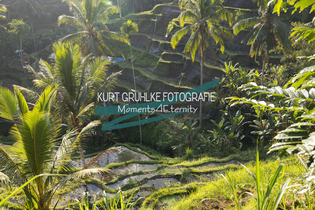 230720-1340 - Kopie | onlinegalerie und Fotoshop Kurt Gruhlke Fotograf Berlin
Hochzeitsfotograf Eventfotograf Portraitfotografie
 - Realisiert mit Pictrs.com
