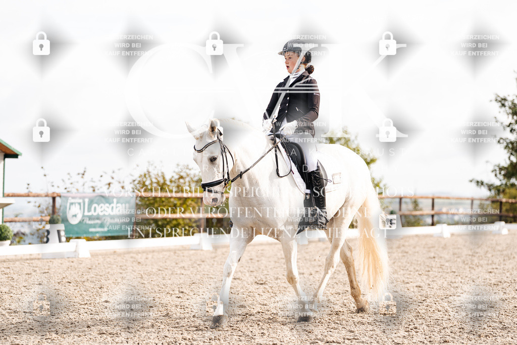 CK901198 | Turnierfotografie Pferdefotografie Trier Rheinland-Pfalz Pferdesport Reitsport Tierfotografie Sportfotografie Pferdevideo Pferdevideografie Equestrianvideography equestrianphotography  - Realisiert mit Pictrs.com