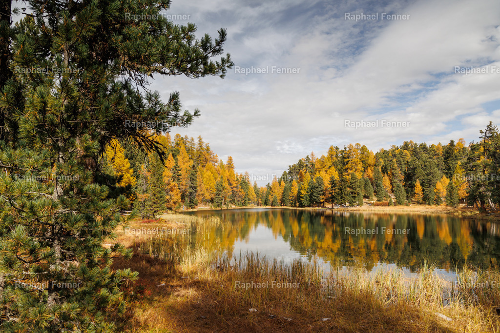Lej Nair | Erlebe eindrucksvolle Landschaftsfotografie aus dem Engadin und darüber hinaus. Raphael Fenner bietet zudem professionelle Fotoaufträge für Hochzeiten, Porträts und Unternehmen. Jetzt entdecken und inspirieren lassen!