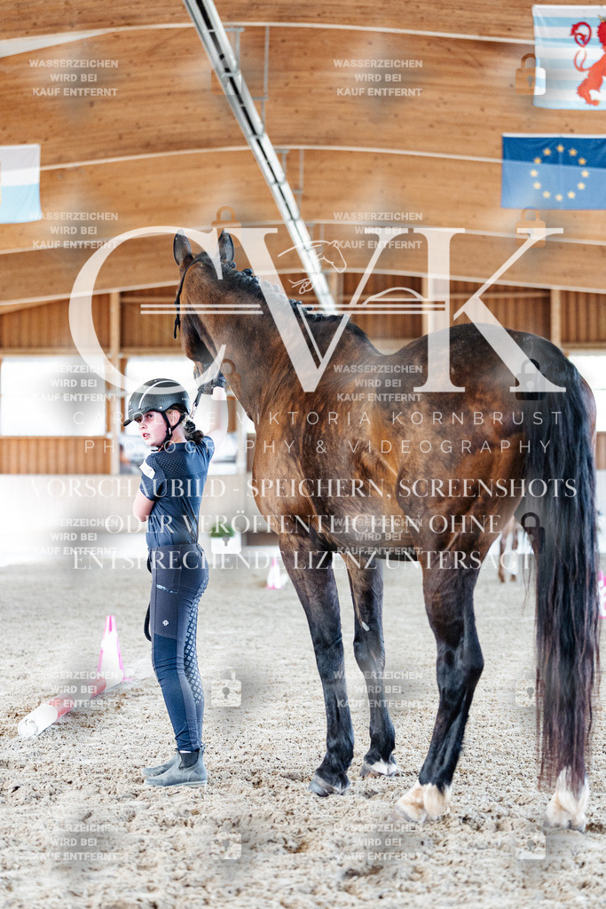 CK905795 | Turnierfotografie Pferdefotografie Trier Rheinland-Pfalz Pferdesport Reitsport Tierfotografie Sportfotografie Pferdevideo Pferdevideografie Equestrianvideography equestrianphotography  - Realisiert mit Pictrs.com