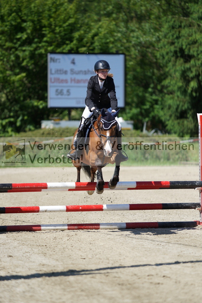 DSC06205 | equestrian-live-com