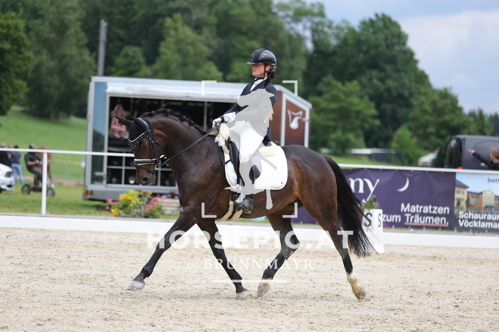 0P6A4998 | Willkommen bei Brunnmayr - Design & Fotografie – Ihrem Spezialisten für Reitturniere und Pferdeveranstaltungen in Oberösterreich, Salzburg und Bayern! Seit über 17 Jahren sind wir leidenschaftlich dabei.