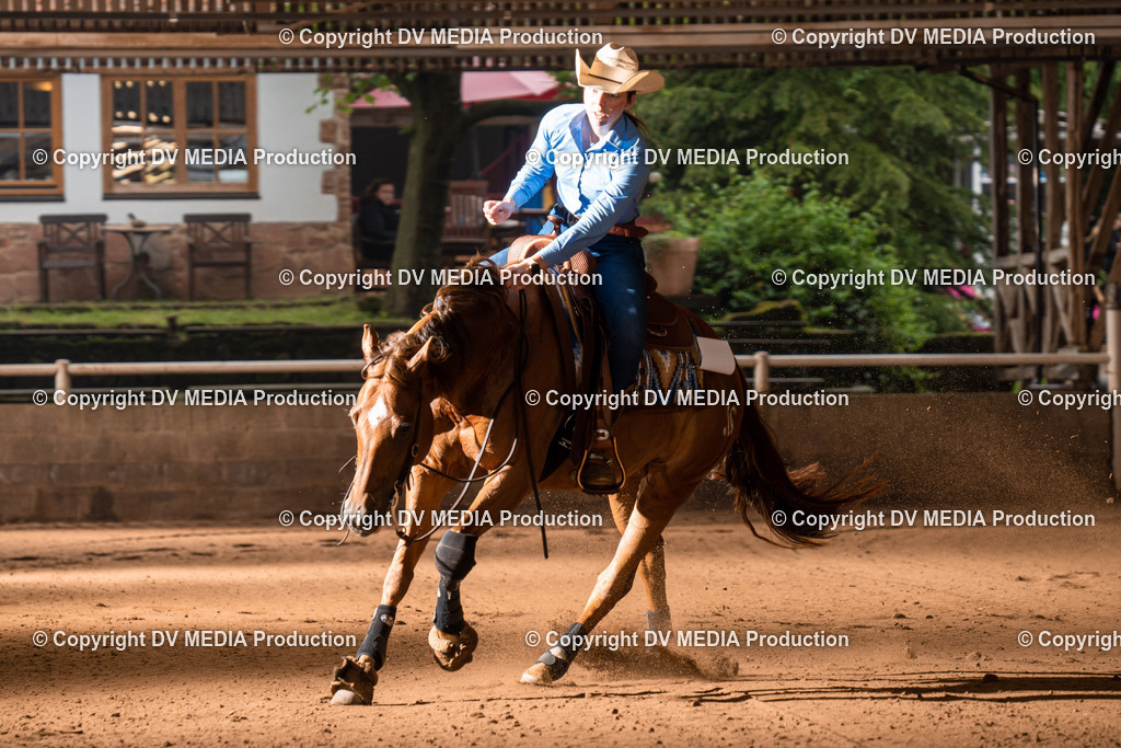 Erbach Tag 3-780 | dv-media-shop - Realisiert mit Pictrs.com