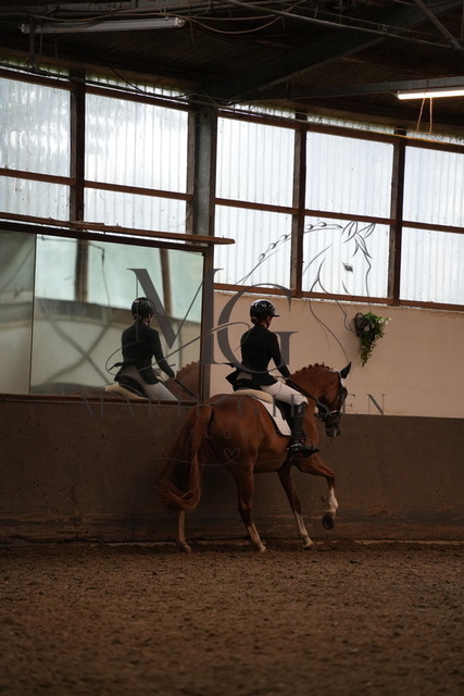 DSC06270 | Pferdefotografie in Köln und Umgebung – emotionale Pferdeshootings, Turnierfotografie und besondere Momente zwischen Pferd und Mensch. - Realisiert mit Pictrs.com