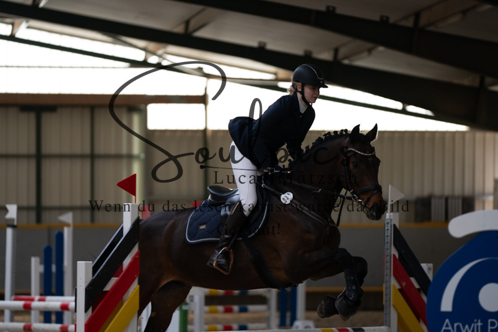 A7V06673 | Pferdefotograf