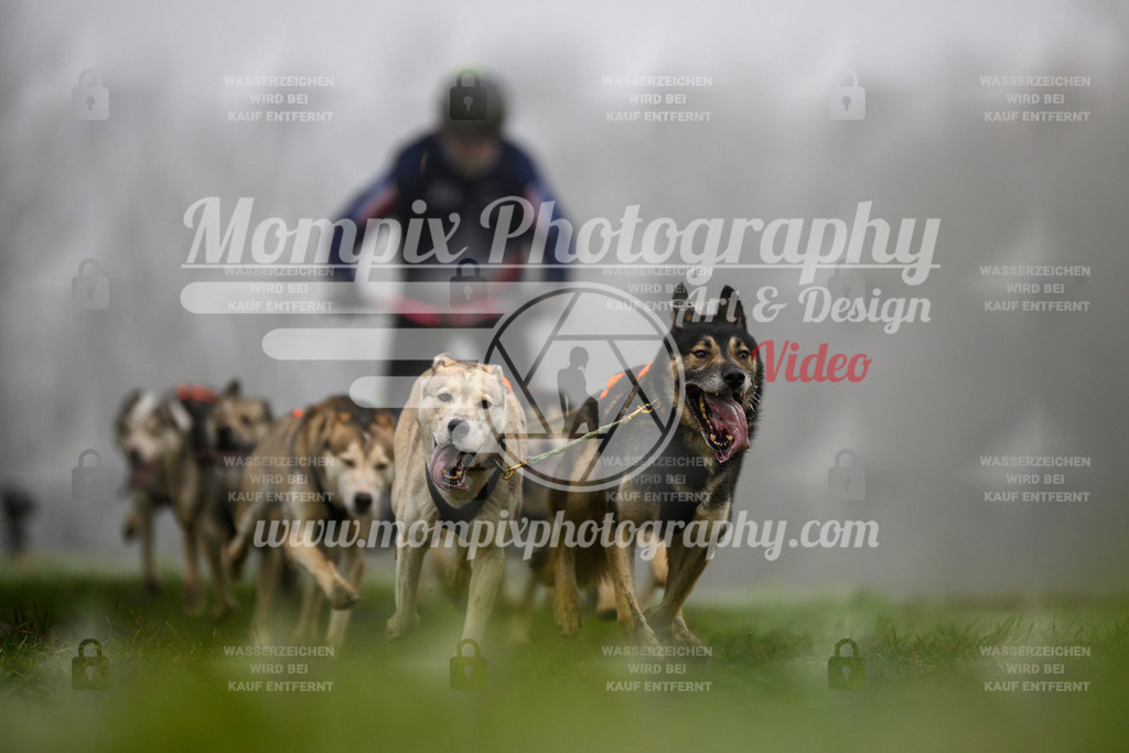 MompixPhotography_CDF2023_FFST_Di_Kart-85 | PayLife