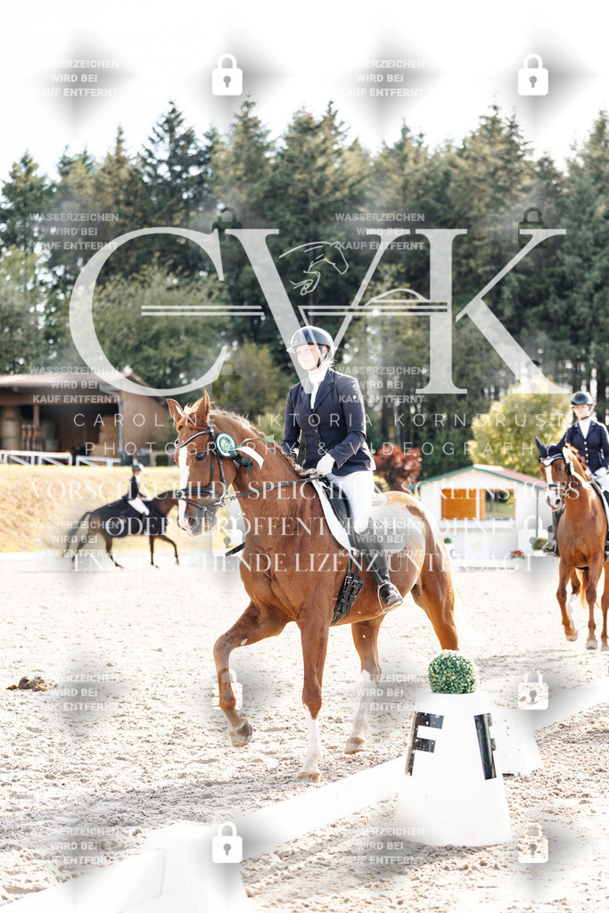 CK901789 | Turnierfotografie Pferdefotografie Trier Rheinland-Pfalz Pferdesport Reitsport Tierfotografie Sportfotografie Pferdevideo Pferdevideografie Equestrianvideography equestrianphotography  - Realisiert mit Pictrs.com