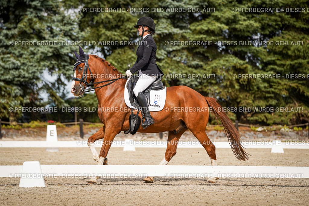 DSC06486 | Pferdegrafie