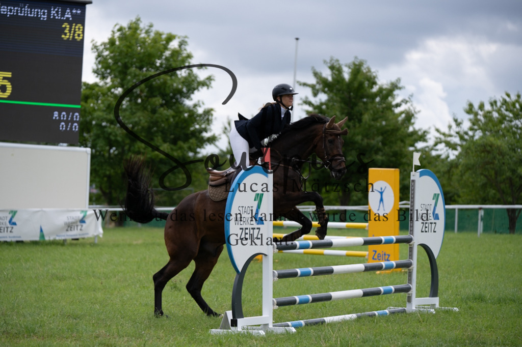 A7V03953 | Pferdefotograf