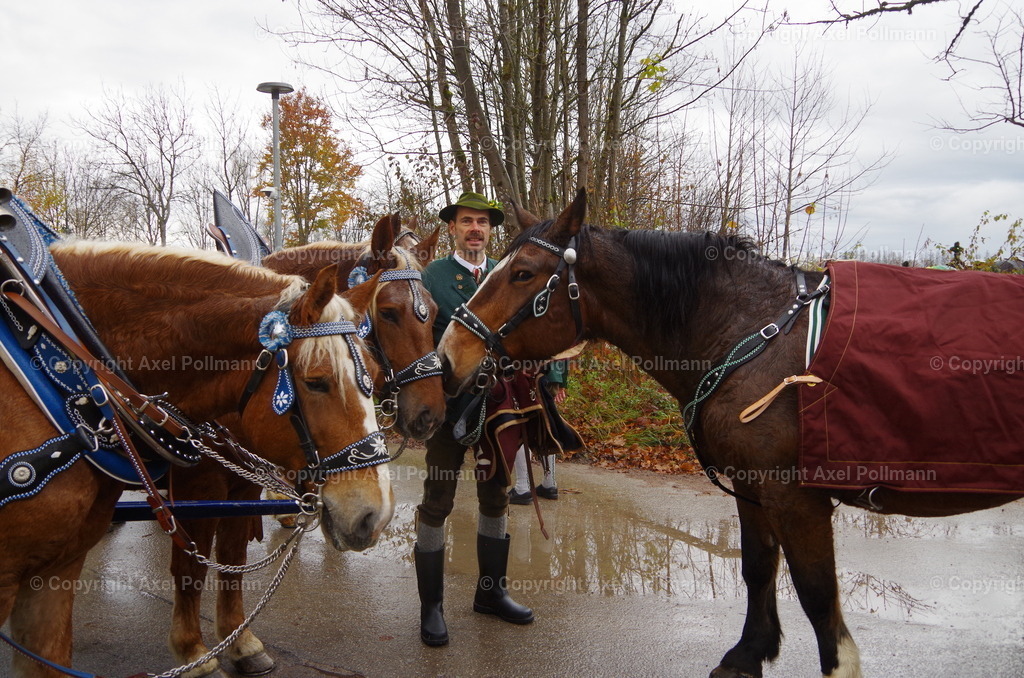 IMGP9335 | fotografiert von Axel PollmannLeonhardi Wallfahrt Benediktbeuern und Murnau, Fronleichnam, Fasching, Landschaft im Loisachtal und Benediktbeuern  - Realisiert mit Pictrs.com