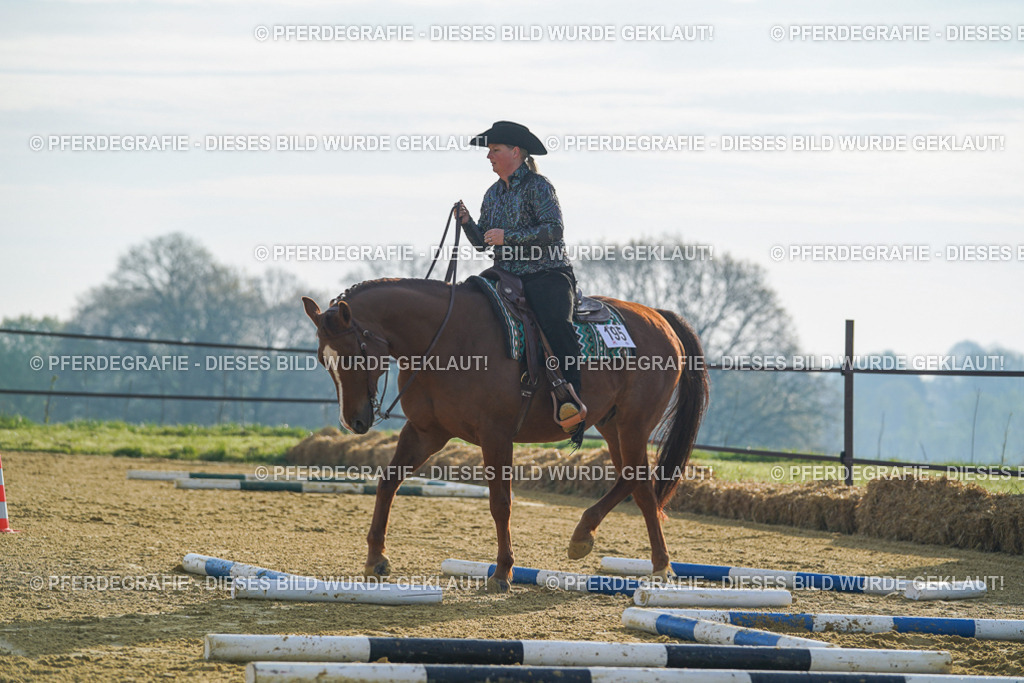 DSC00586 | Pferdegrafie