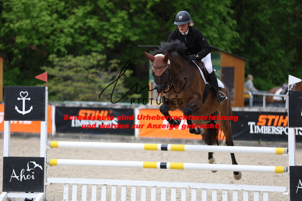 A40A2303 | lmwpictures - Realisiert mit Pictrs.com