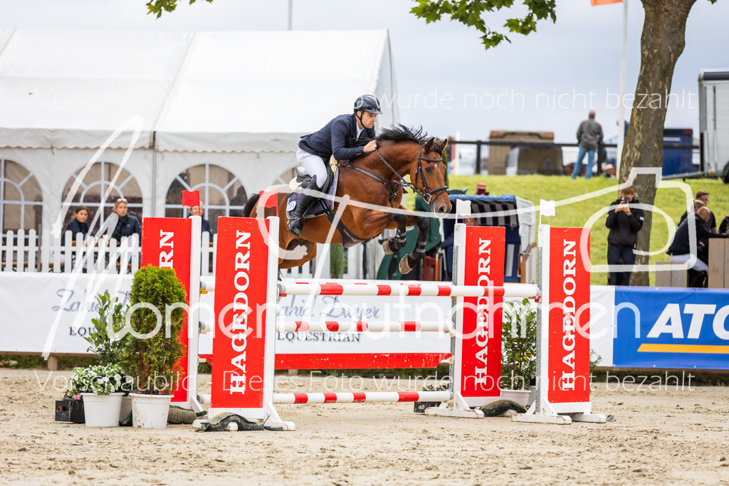 BHO-2PhSpr-M-5-2162 | MomenTaufnahmen Pferdesportfotos