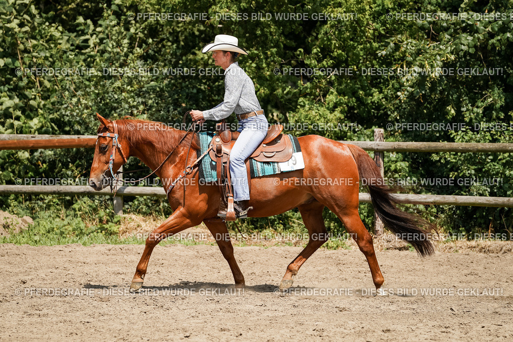 DSC09562 | Pferdegrafie