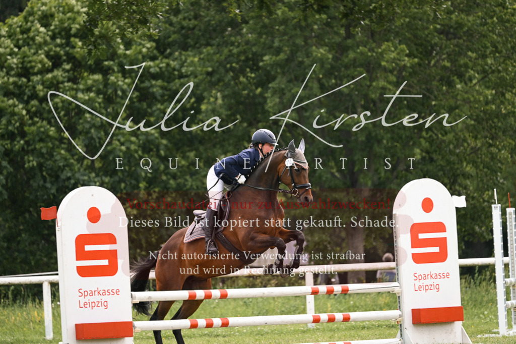 DSC_9126 | Pferde- und Turnierfotografie in Westsachsen. Pferdeportraits, Auftragszeichnungen und intuitive Kunst.