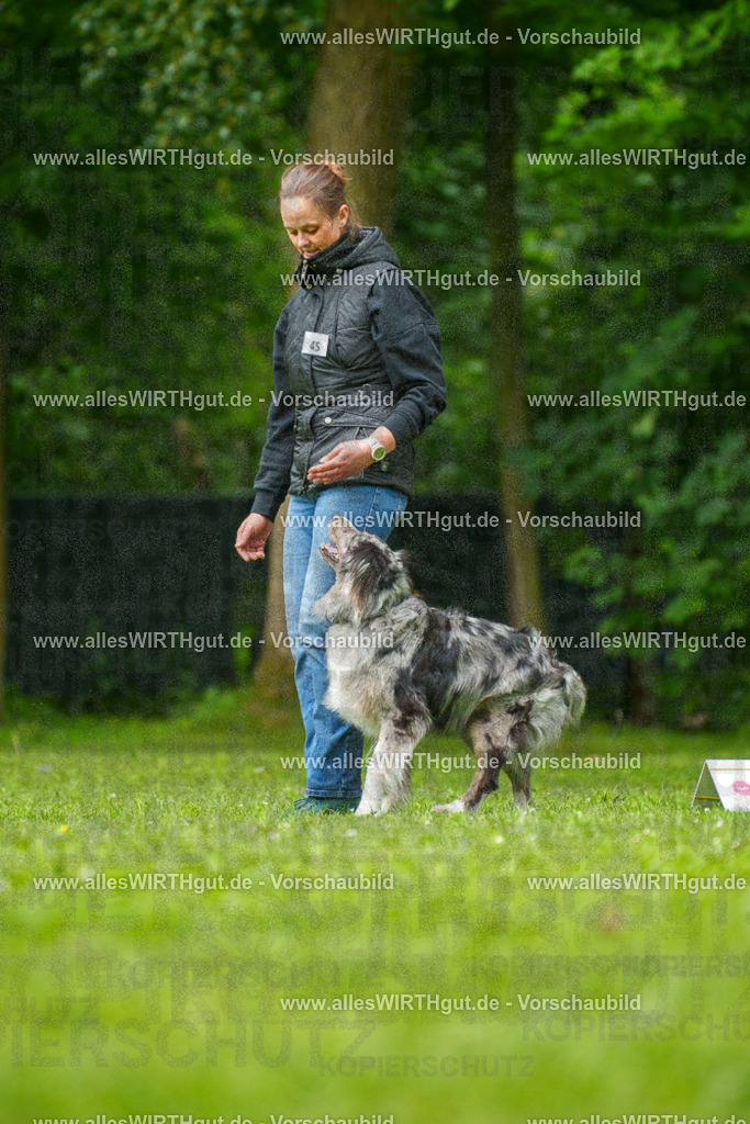 @allesWIRTHgut_Tierfotografie - www.allesWIRTHgut.de - 7R500267 | Professionelle Tierfotografie in Mönchengladbach von Daniel Wirth (allesWIRTHgut). Liebevolle & natürliche Bilder von Hunden & Katzen für unvergessliche Erinnerungen.