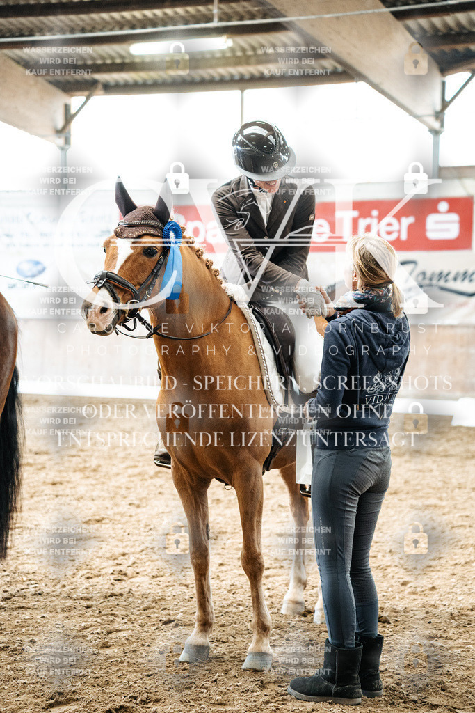 CK703139 | Turnierfotografie Pferdefotografie Trier Rheinland-Pfalz Pferdesport Reitsport Tierfotografie Sportfotografie Pferdevideo Pferdevideografie Equestrianvideography equestrianphotography  - Realisiert mit Pictrs.com