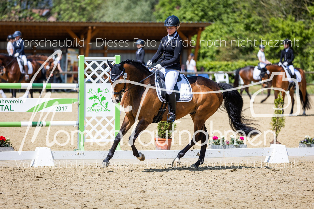 Donop24-L-Dre-107 | MomenTaufnahmen Pferdesportfotos