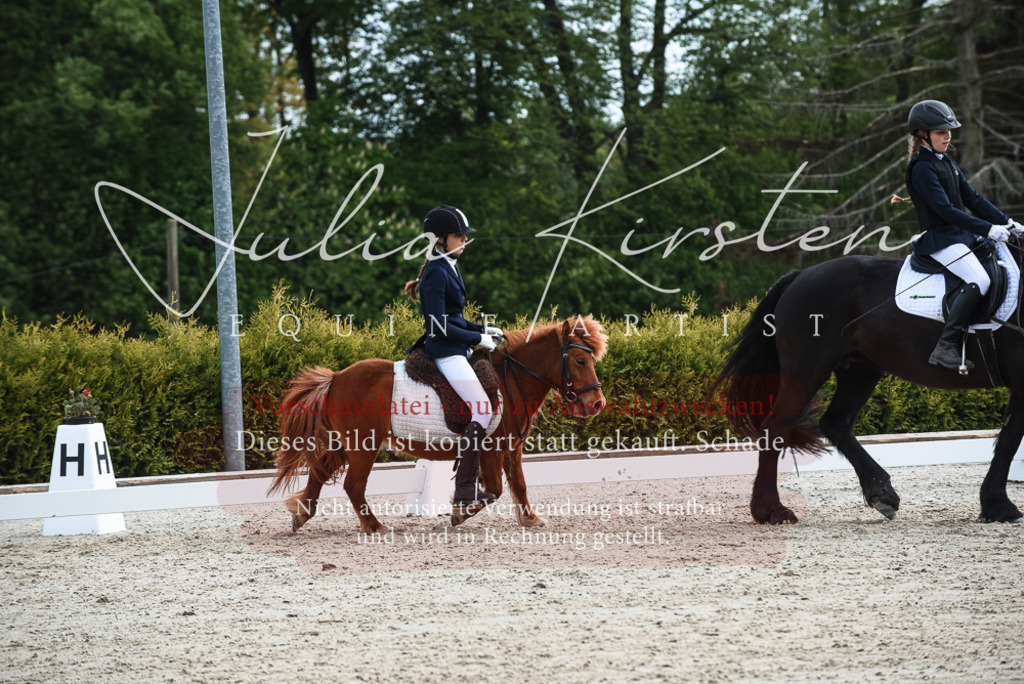20230518_JK-Röhrsdorf-11-0981 | Pferde- und Turnierfotografie in Westsachsen. Pferdeportraits, Auftragszeichnungen und intuitive Kunst.