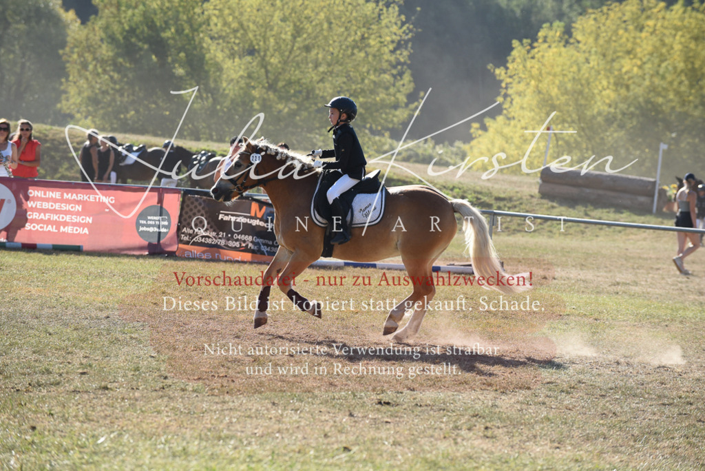 DSC_5803 | Pferde- und Turnierfotografie in Westsachsen. Pferdeportraits, Auftragszeichnungen und intuitive Kunst.
