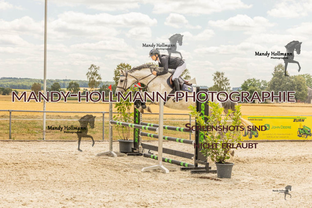 26-7-23 SPR A++-300 | mandyhollmannphotographie