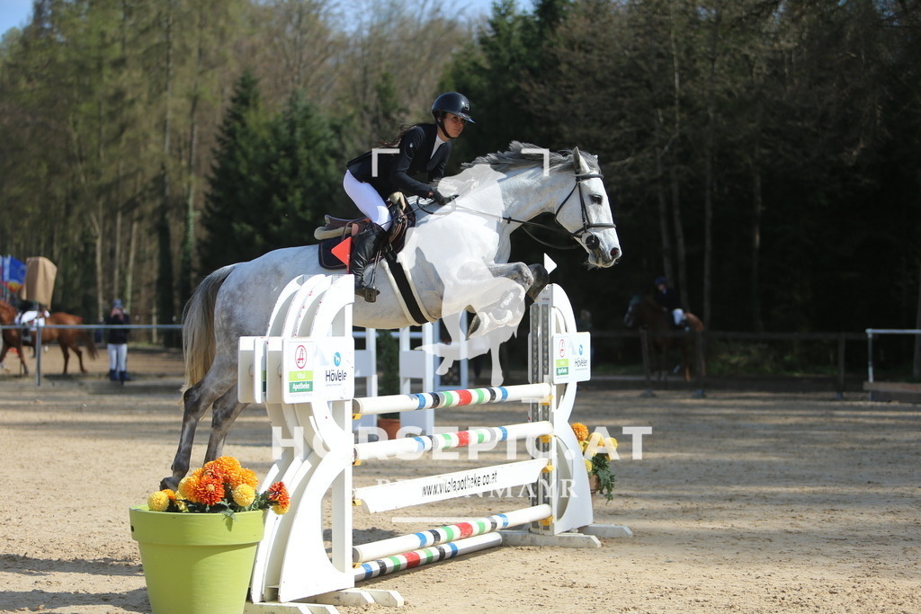 DL2Q0728 | Willkommen bei Brunnmayr - Design & Fotografie – Ihrem Spezialisten für Reitturniere und Pferdeveranstaltungen in Oberösterreich, Salzburg und Bayern! Seit über 17 Jahren sind wir leidenschaftlich dabei.