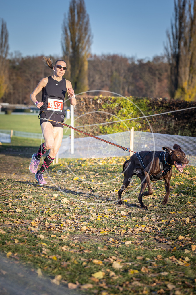 CaniXpix_DV3A3908 | Hundefotografie, Tierfotograf, Pfotenfotografie, Fotoshooting Hund, Hunde Portrait, Hundesport, Hundeportraits, Heideshooting, Hunde, Sportfotograf, Hundefotograf, Turnierhundsport, THS,  - Realisiert mit Pictrs.com