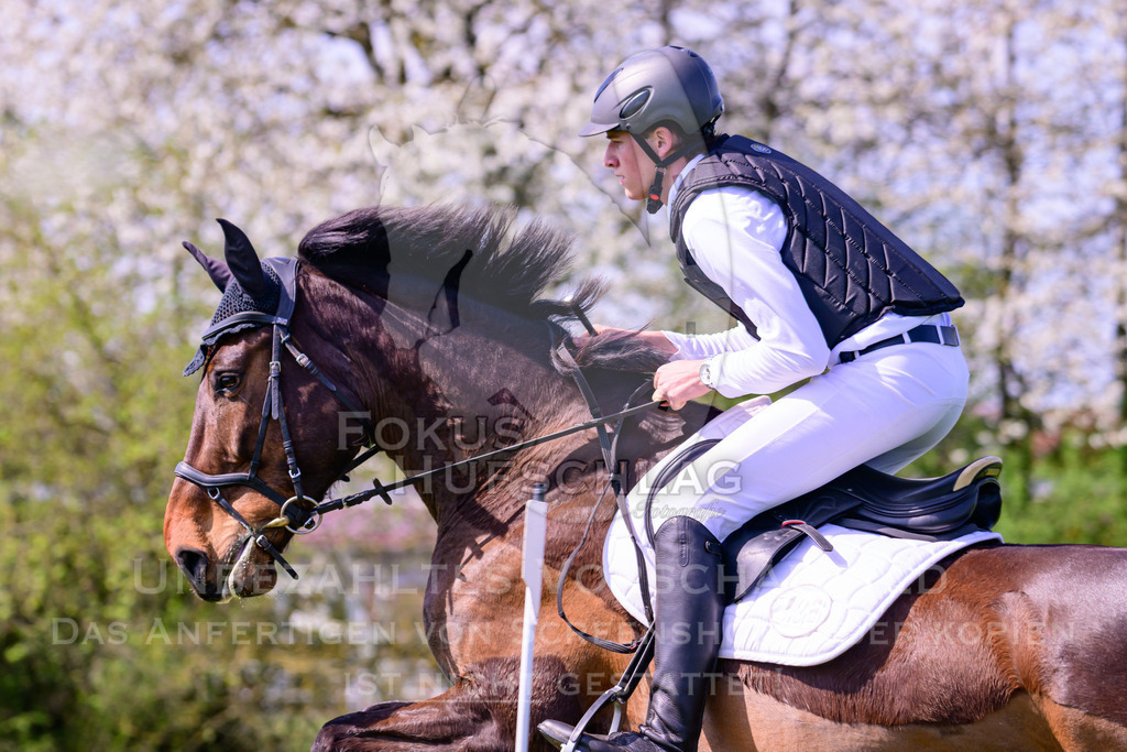 18042026-Gernlinden-01-1-0027 | Fokus Hufschlag Fotografie - Realisiert mit Pictrs.com