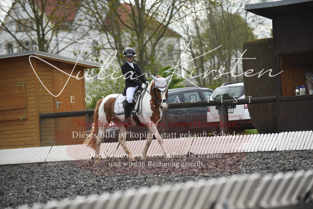 20230513_JK-Röhrsdorf-16-257 | Pferde- und Turnierfotografie in Westsachsen. Pferdeportraits, Auftragszeichnungen und intuitive Kunst.
