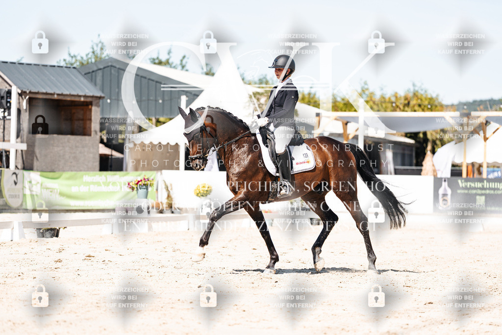 CK909467 | Turnierfotografie Pferdefotografie Trier Rheinland-Pfalz Pferdesport Reitsport Tierfotografie Sportfotografie Pferdevideo Pferdevideografie Equestrianvideography equestrianphotography  - Realisiert mit Pictrs.com