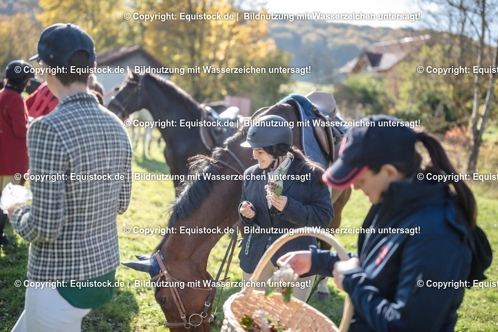 20251011_Jagd-Marbach_0704 | Foto: Thomas Hartig