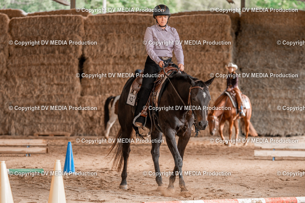 Balingen Tag 3-875 | dv-media-shop - Realisiert mit Pictrs.com