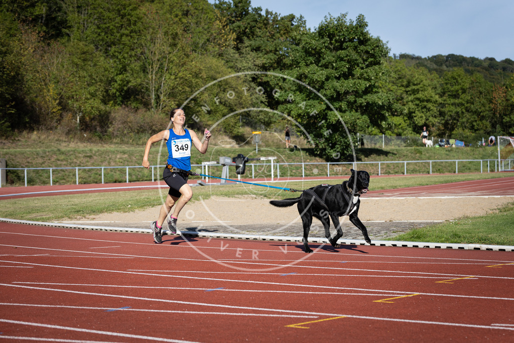 Pfotenfotografie_DV3A9399 | Hundefotografie, Tierfotograf, Pfotenfotografie, Fotoshooting Hund, Hunde Portrait, Hundesport, Hundeportraits, Heideshooting, Hunde, Sportfotograf, Hundefotograf, Turnierhundsport, THS,  - Realisiert mit Pictrs.com
