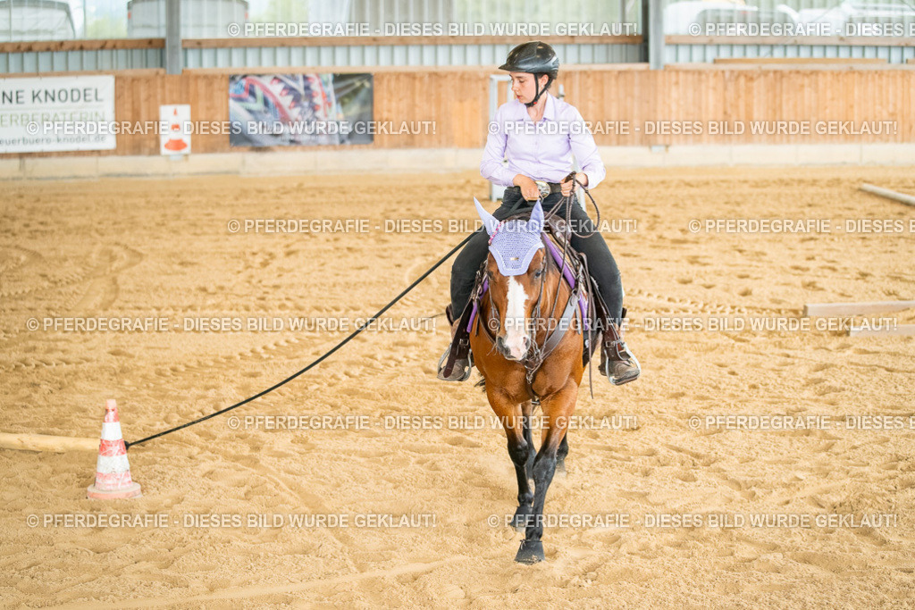 DSC07176 | Pferdegrafie