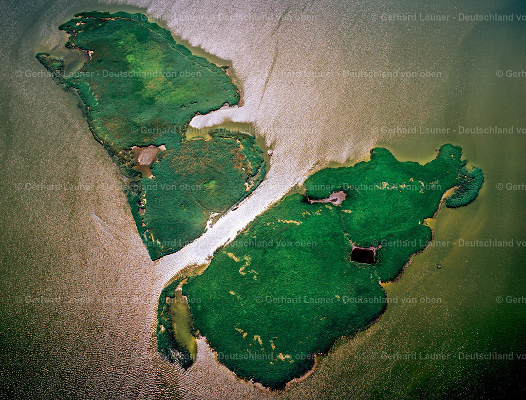 7000857 | Saaler Bodden,Nationalpark Vorpommersche Boddenlandschaft