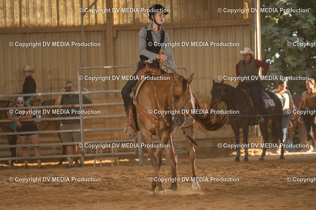 NID03762 | dv-media-shop - Realisiert mit Pictrs.com