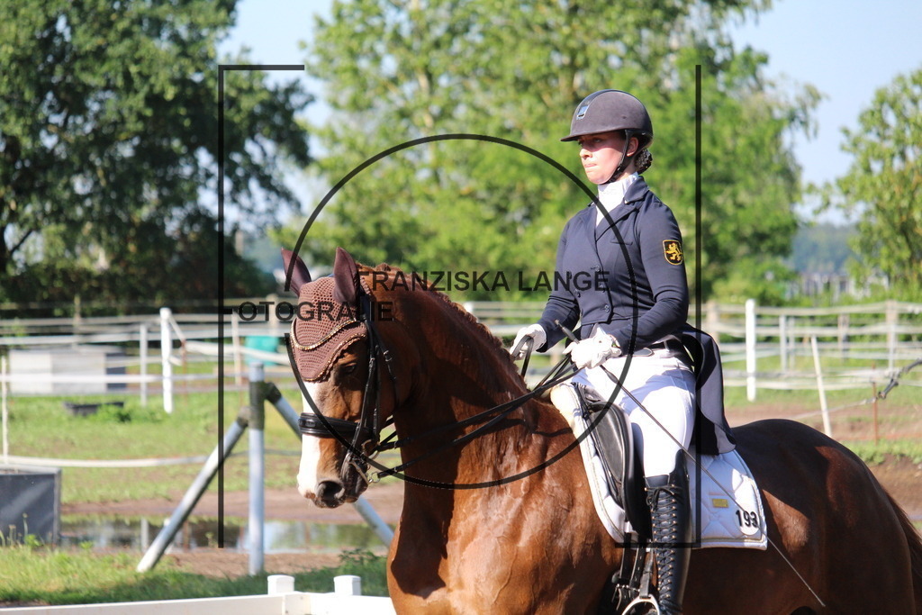 IMG_6434 | franziskalange - Realisiert mit Pictrs.com