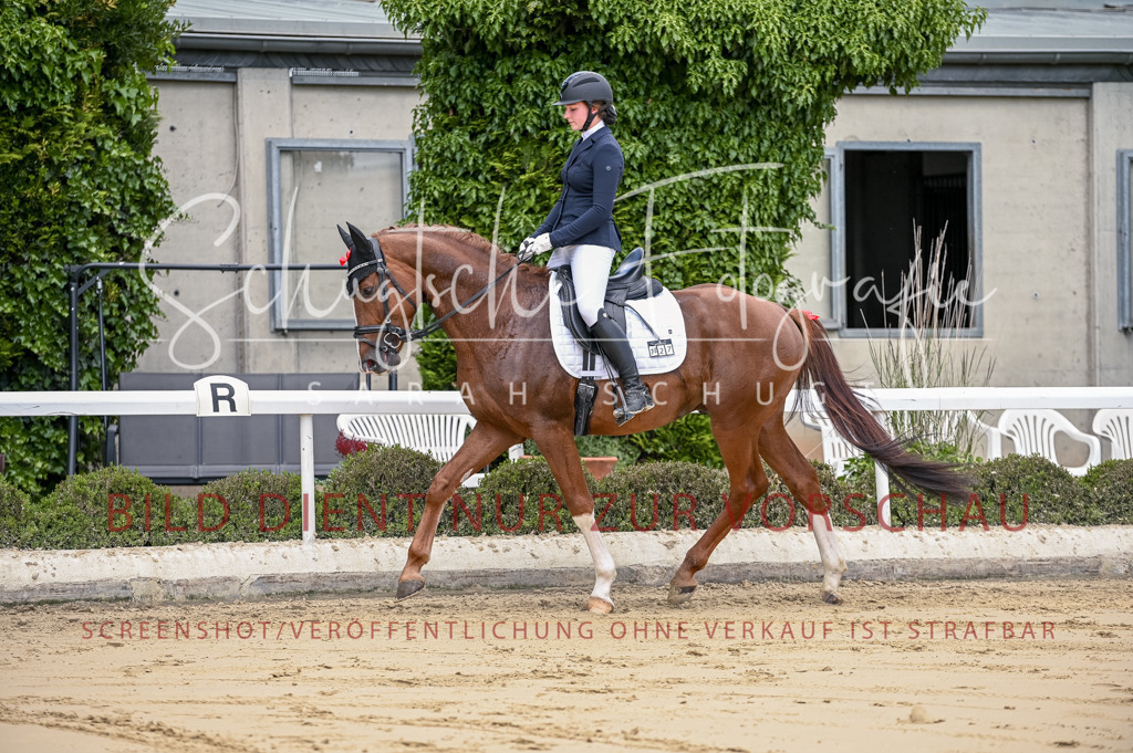 Schugtsche-Aluta25-48.Reitpferfdeprf.-133 | Schugtsche Fotografie - Realisiert mit Pictrs.com