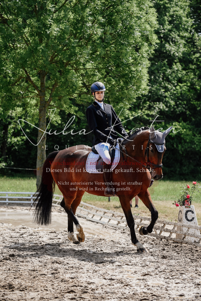 DSC_1115 | Pferde- und Turnierfotografie in Westsachsen. Pferdeportraits, Auftragszeichnungen und intuitive Kunst.