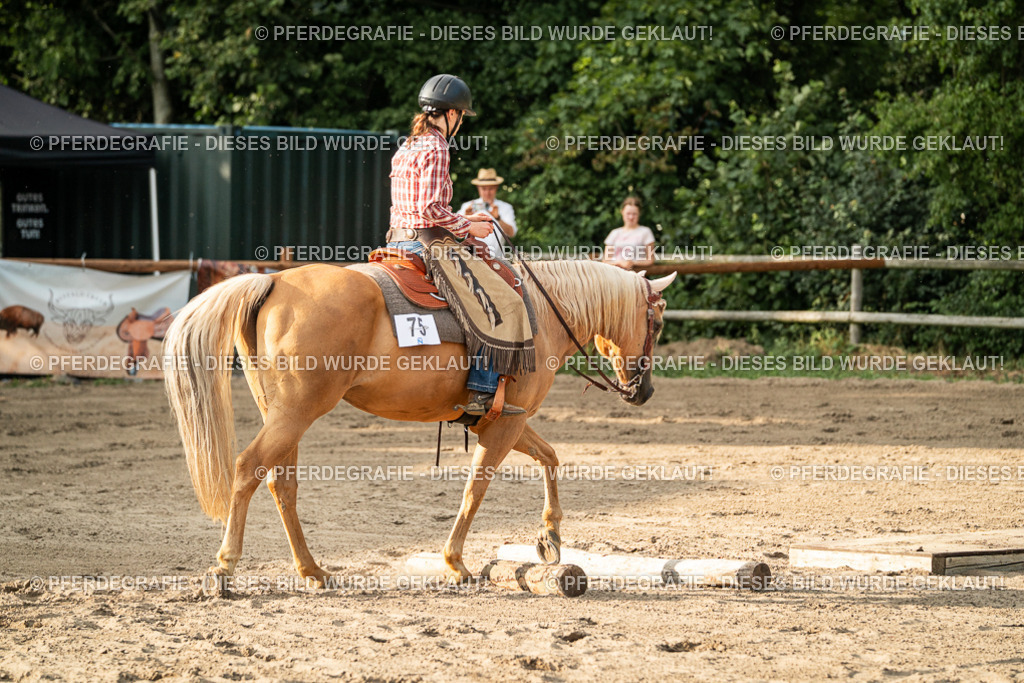 DSC06139 | Pferdegrafie