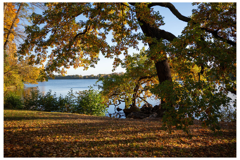 Potsdam (67) | hgt-foto