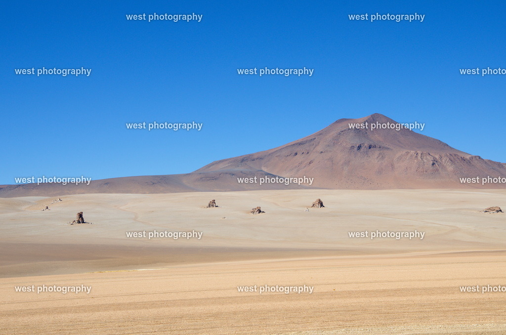Salvador Dali Desert 2 - BVN 2015 | west photography - Realisiert mit Pictrs.com