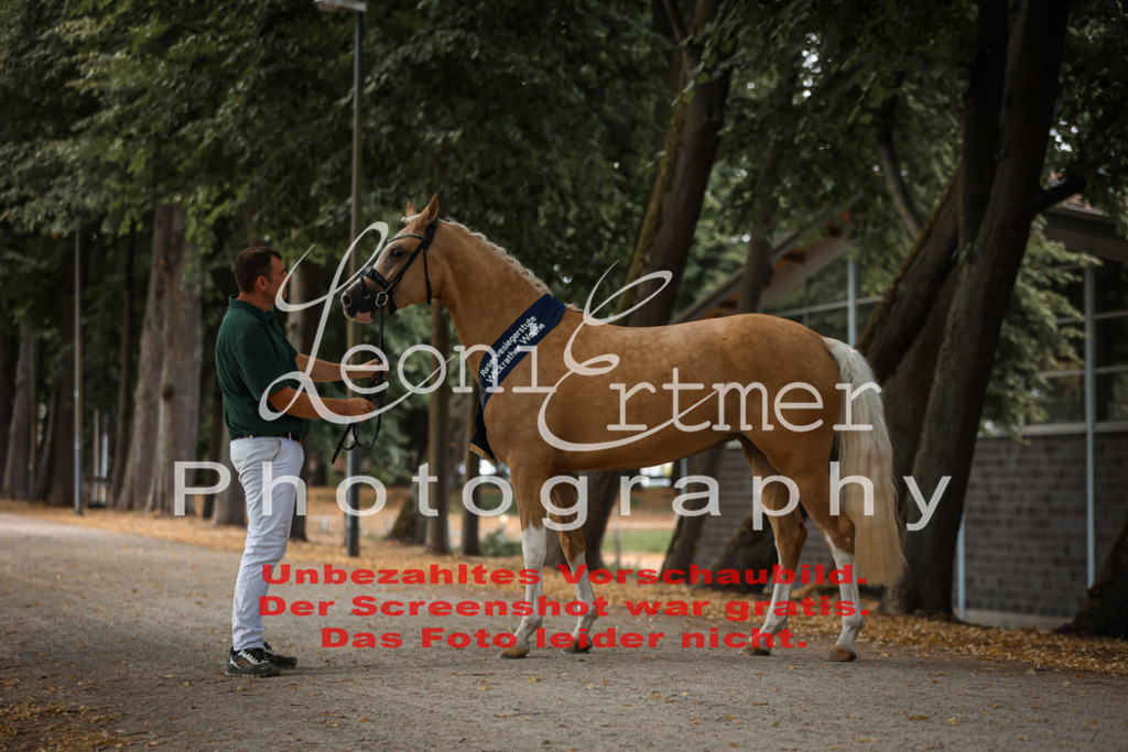 SoER00143 | Leoni Ertmer Photography - Realisiert mit Pictrs.com