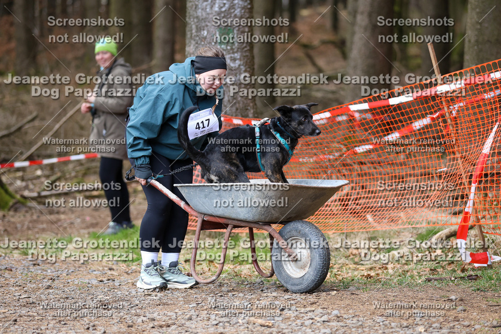 Dog Paparazzi - VCC26-846 | Dog Paparazzi Jeanette Grottendiek Fotografie & Videografie - Realisiert mit Pictrs.com