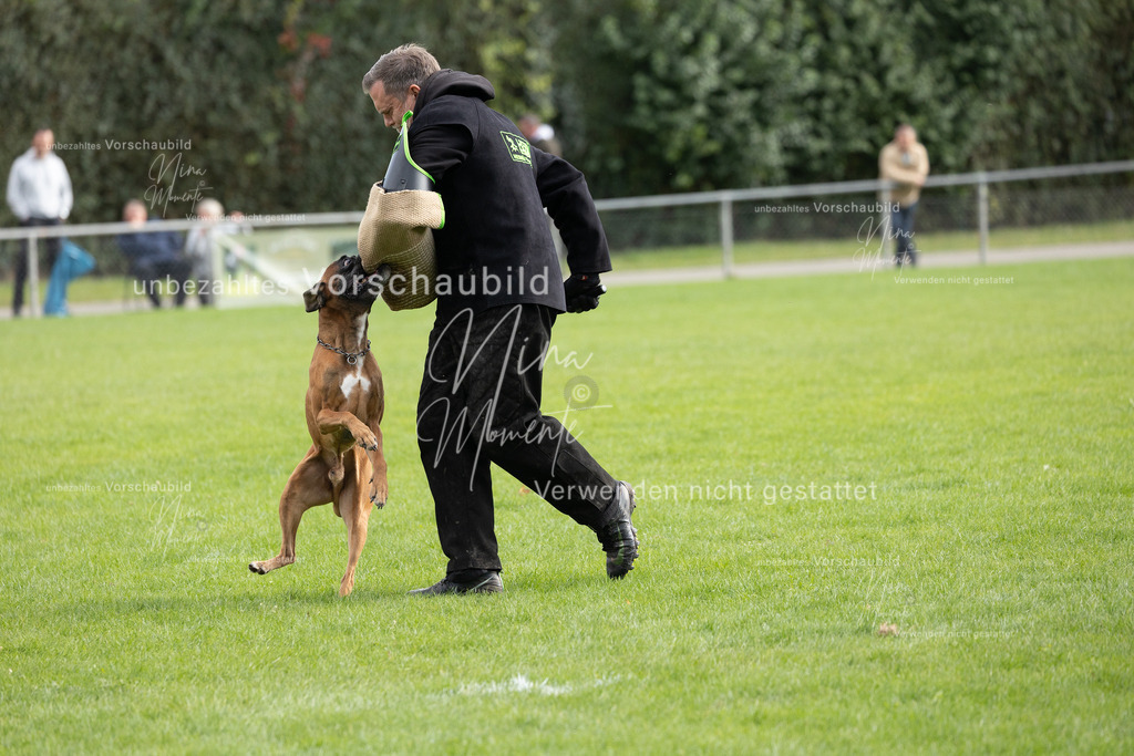 _16A7082 | Einzigartige Fotos von Hunden & Menschen –Actionfotos, Portraits, Vereinsaufnahmen & Paarshootings – authentisch, lebendig & mit Herz.