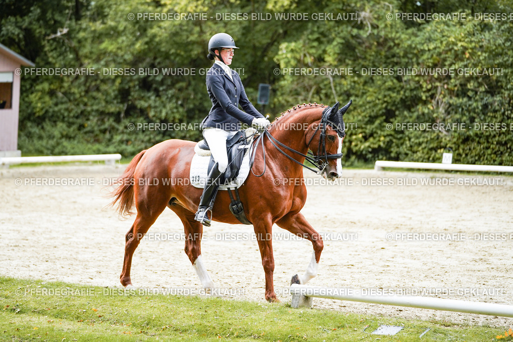 DSC00845 | Pferdegrafie