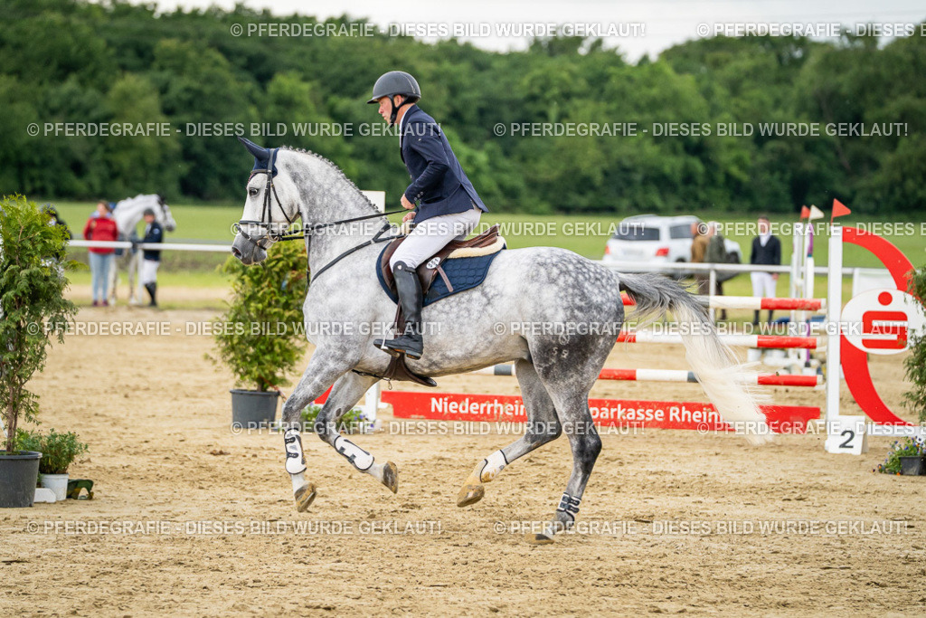 DSC06850 | Pferdegrafie