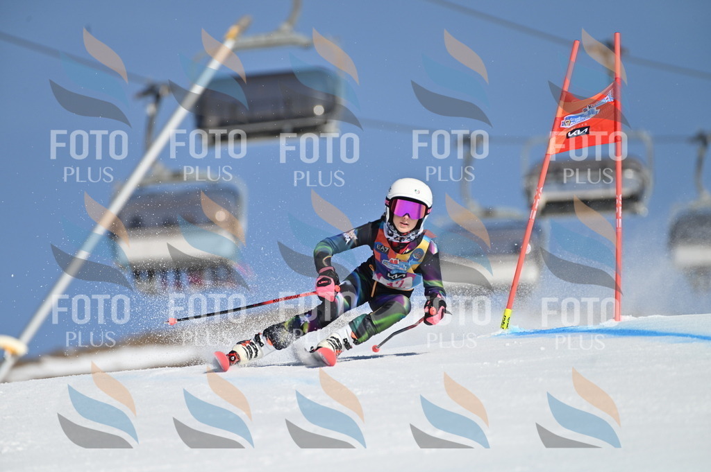 BGV_7788 | holidayphoto