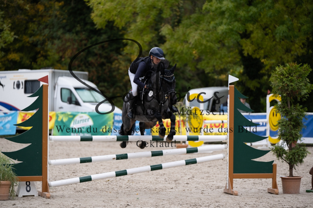 A7V09562 | Pferdefotograf