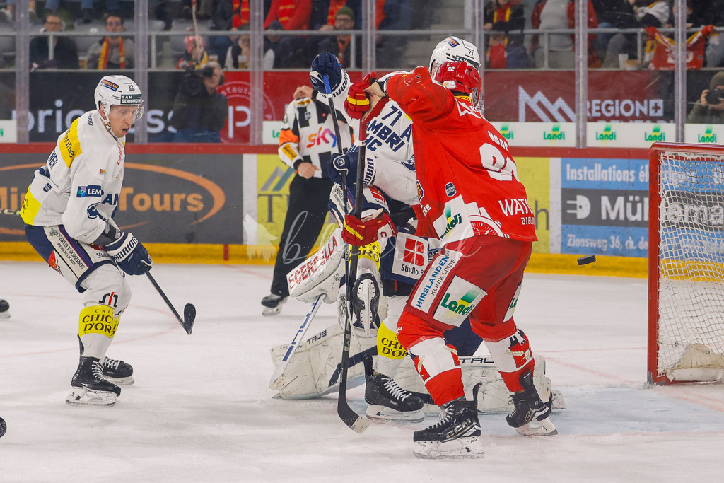EHCB vs HCAP 20260115_wb-4500 | Sportbilder, Sportfotograf, Hochzeits- und Eventfotografin, Flugshows, Portraits und Tiershooting, Aviation, Downhill, Nationalleague, Swissleague, International